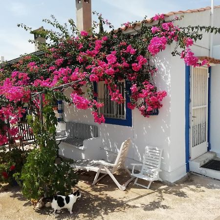 Finca La Joya Torreblanca Kültér fotó