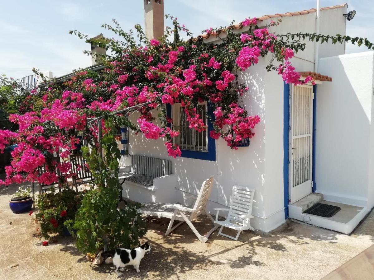 Finca La Joya Torreblanca Kültér fotó