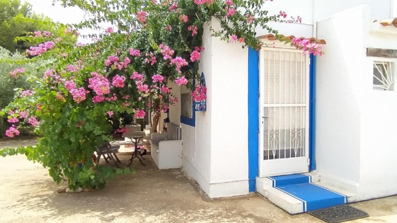 Finca La Joya Torreblanca Kültér fotó